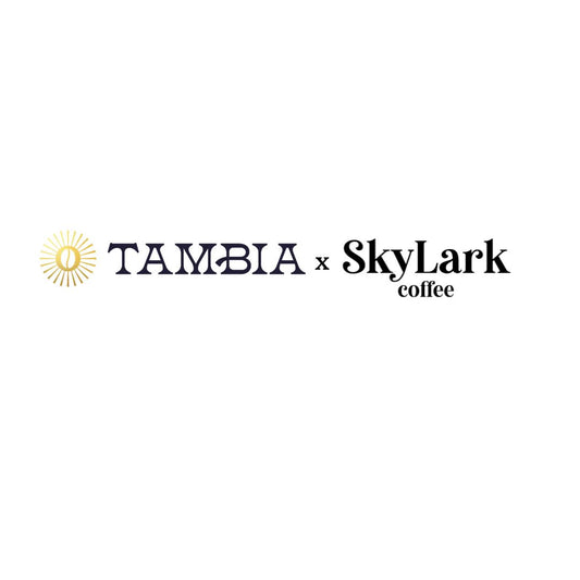 Tambia x Skylark, a World Class Roasting Partner(ship)