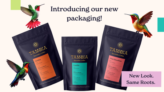 Unveiling a New Look -  Inspired by Colombian Roots