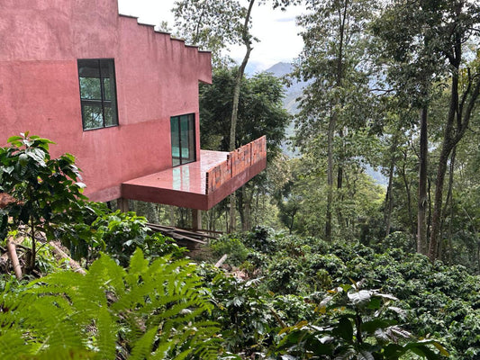 Library at Sierra Nevada de Santa Marta 