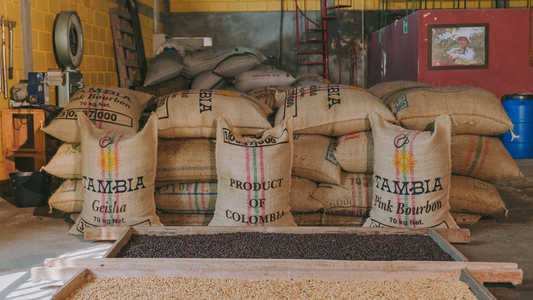 Is Coffee Good or Bad for Your Health?